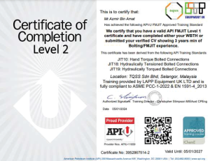 Api2 300x231